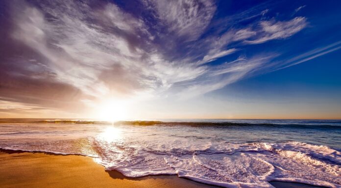 Estudo da Airbnb destaca Leiria na retoma do turismo