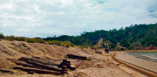 Removidas sulipas dos passadiços de São Martinho do Porto