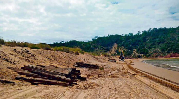Removidas sulipas dos passadiços de São Martinho do Porto