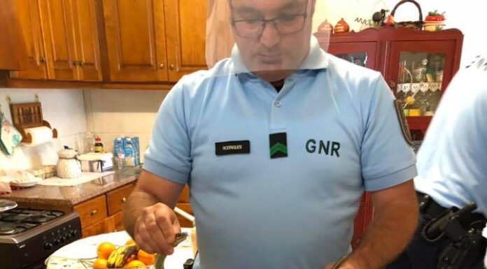 Bombeiros e GNR resgatam cobra em casa na Benedita