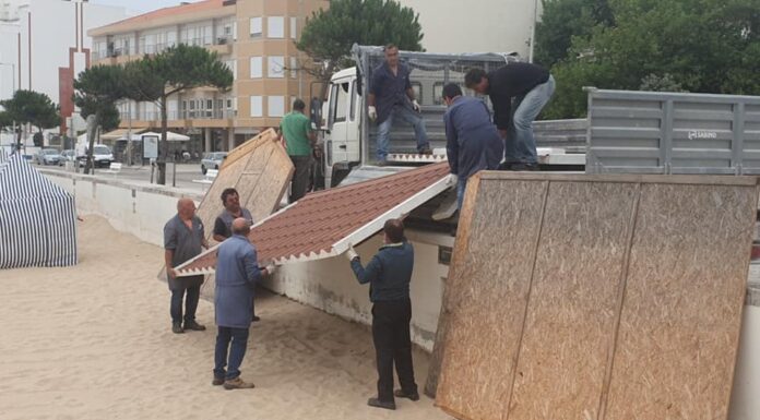 Biblioteca de praia de São Martinho do Porto a funcionar
