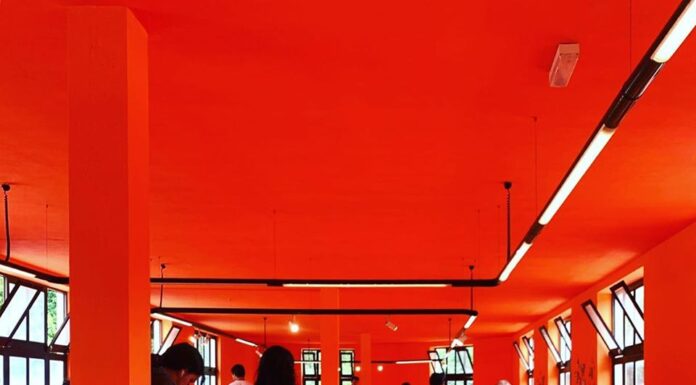 Loja da Molda reabre hoje nas antigas instalações da Bordallo Pinheiro