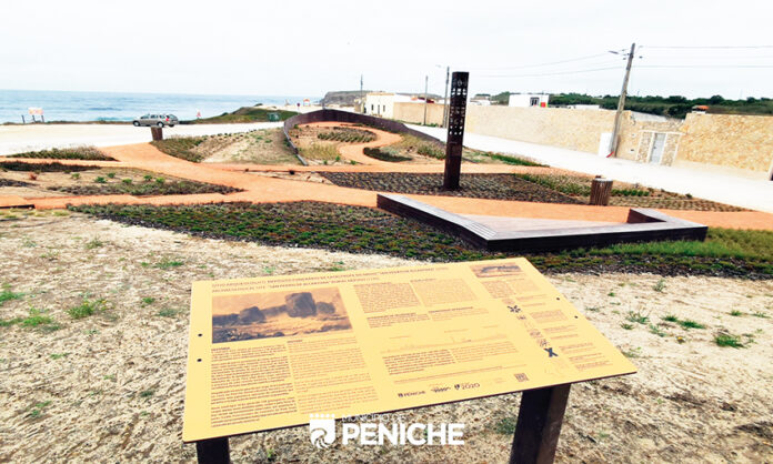 2020_dep_fun_s_p_alcantara__63__1_2500_2500