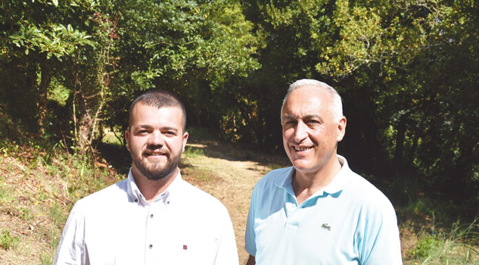 Jovem propõe um parque de energias renováveis no centro das Caldas da Rainha