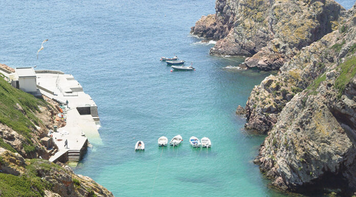 Entrada na ilha da Berlenga obriga a registo prévio e taxa