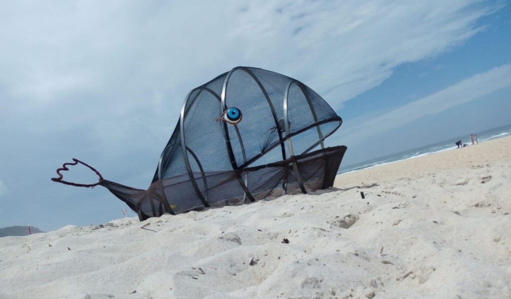 Baleia Goby está de volta às praias Bandeira Azul de Alcobaça