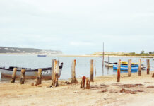 Convite para (Re)descobrir o Oeste em tempos de pandemia