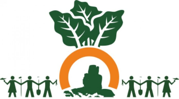 Concurso aberto para dois talhões de cultivo na Horta Comunitária de Peniche