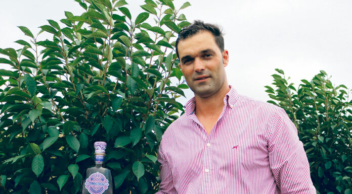 Alcóbidos: nasceu na região uma ginja que pretende unir o melhor dos dois mundos