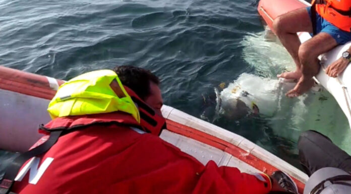 Quatro tripulantes resgatados em segurança ao largo de Peniche