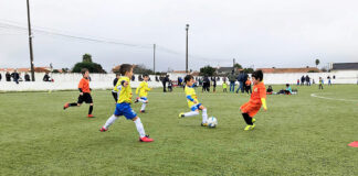 AF Leiria atribui apoio extraordinário no valor de 165 mil euros aos clubes filiados