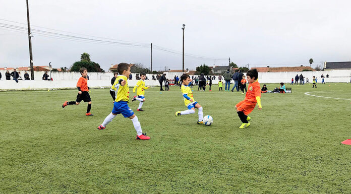 AF Leiria atribui apoio extraordinário no valor de 165 mil euros aos clubes filiados