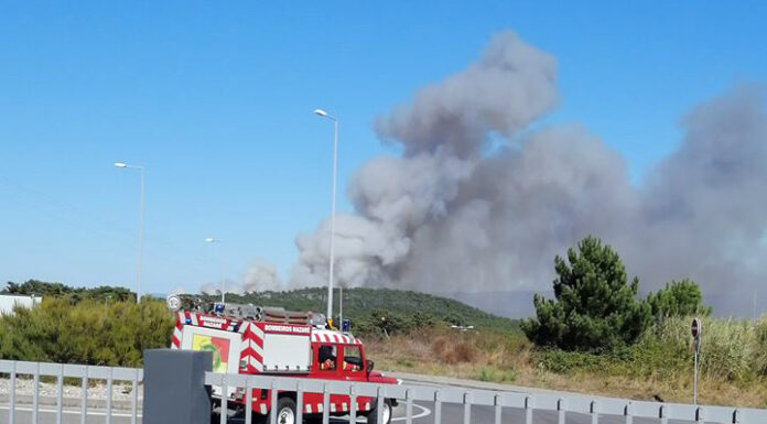 Bombeiros combatem incêndio florestal em Valado dos Frades