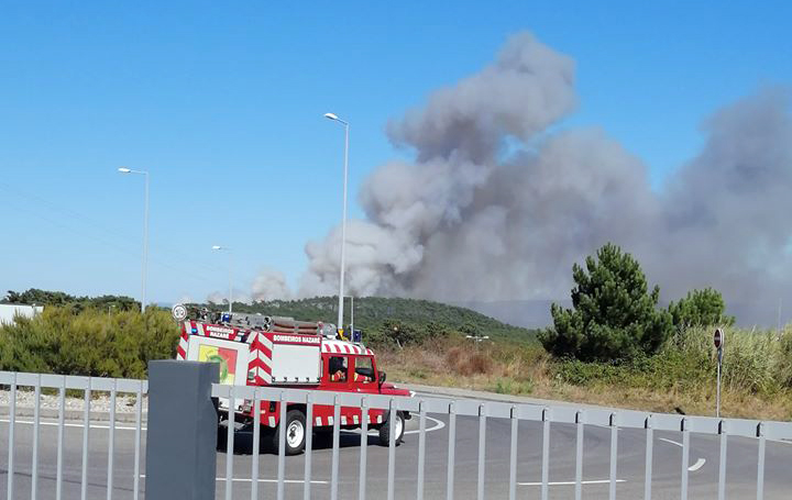 Bombeiros combatem incêndio florestal em Valado dos Frades