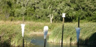 ESAD presente em evento de Land Art em Cascais