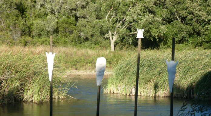 ESAD presente em evento de Land Art em Cascais