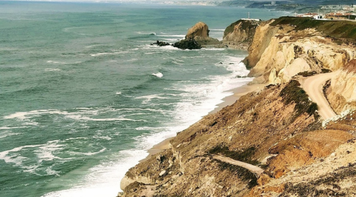 Torres Vedras inaugura primeira praia para cães