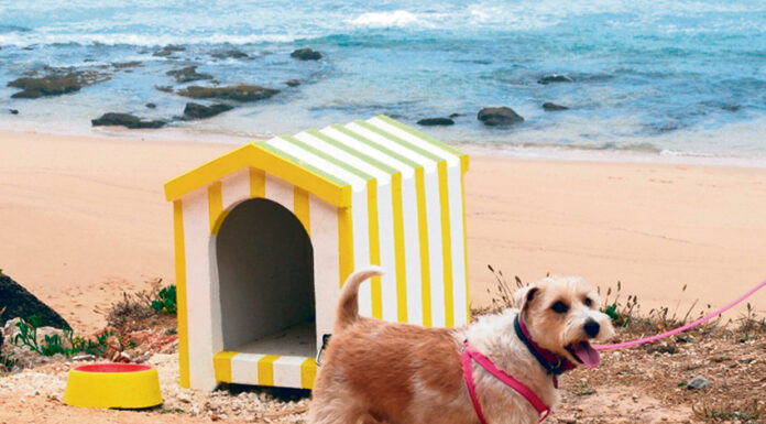 Torres Vedras também já tem uma praia para os cães