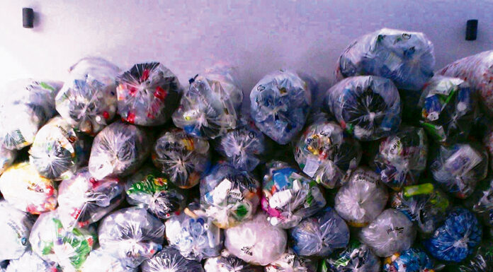 Programa da Valorsul nas escolas recolhe 780 toneladas