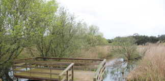 Dez percursos para descobrir o Oeste a pé