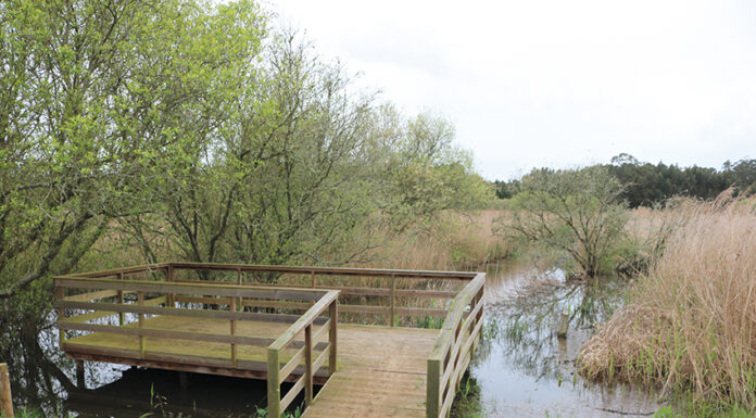 Dez percursos para descobrir o Oeste a pé