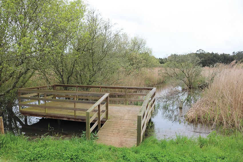 Paul de Tornada apresenta programa para as férias de Natal das crianças