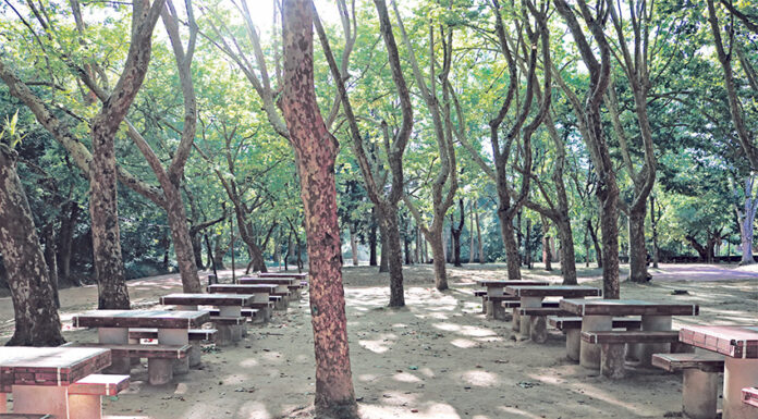 Aproveite os parques de merendas no Oeste