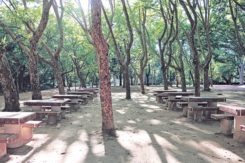 Aproveite os parques de merendas no Oeste