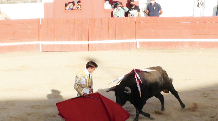 138º 15 de Agosto em Caldas da Rainha, todos de parabéns