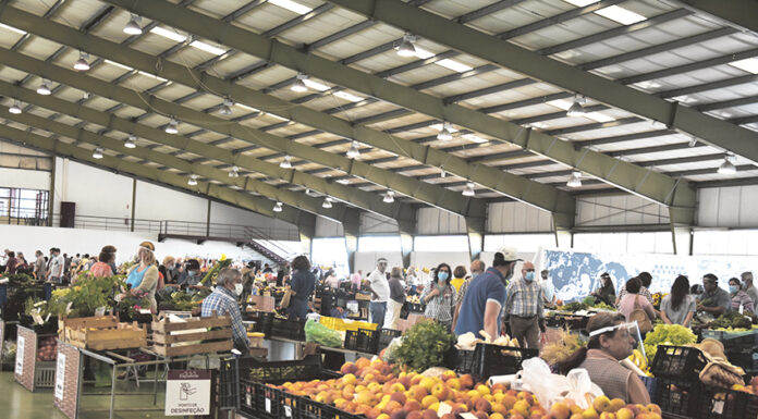 Regresso da Praça da Fruta à Praça da República previsto para dia 12 de Agosto