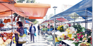 Caldas da Rainha é “Marca Estrela” na região Centro