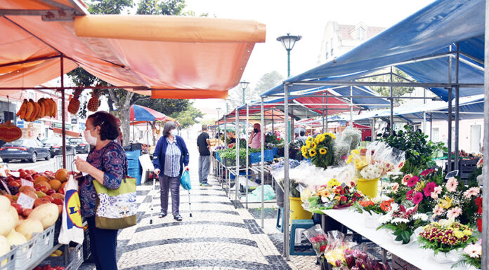 Praça da Fruta já regressou às origens