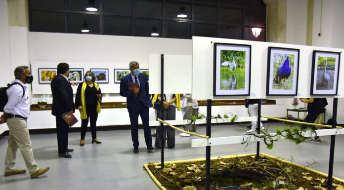 Caldas festejou 93 anos com actividades culturais no Parque D. Carlos I