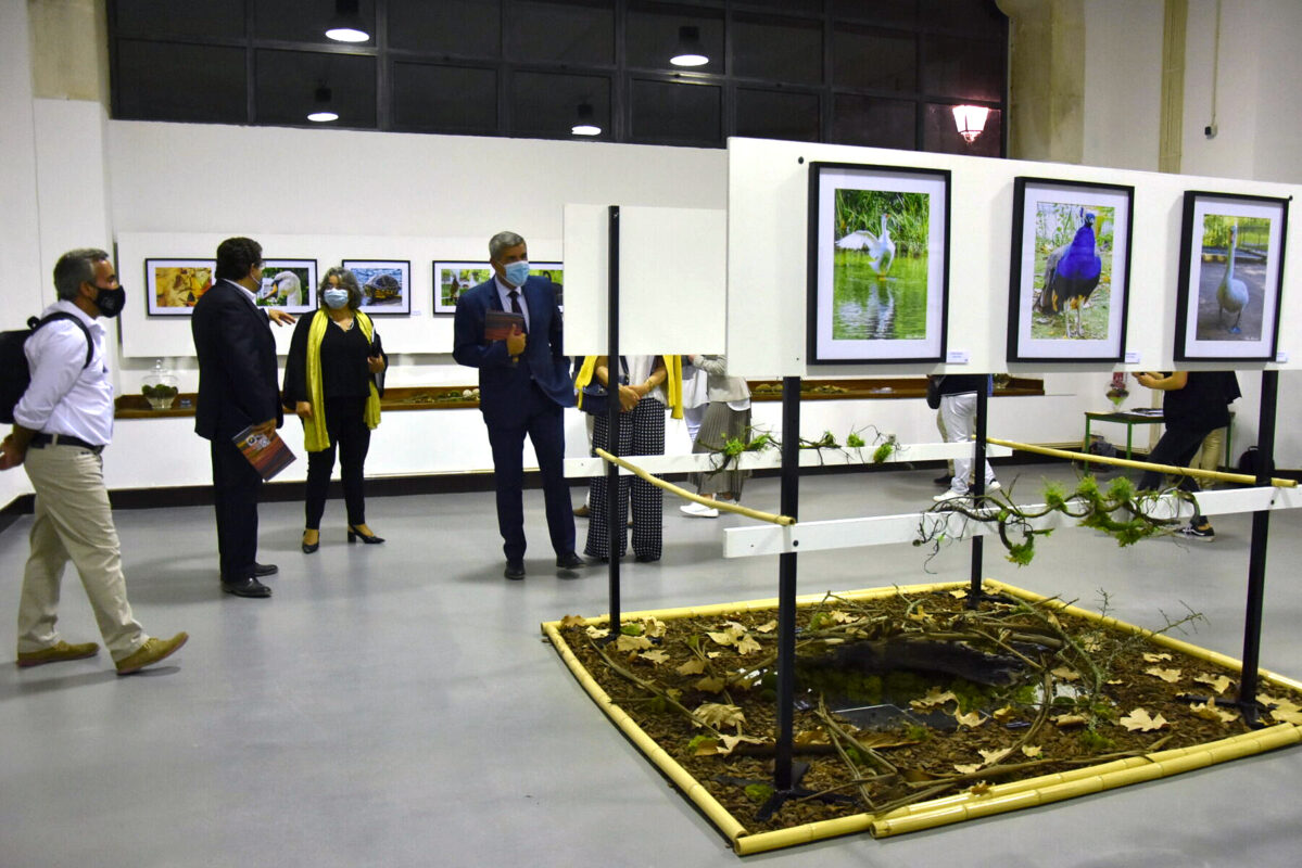 Caldas festejou 93 anos com actividades culturais no Parque D. Carlos I