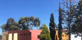 CEERDL é uma das maiores cooperativas de Solidariedade Social de todo o país