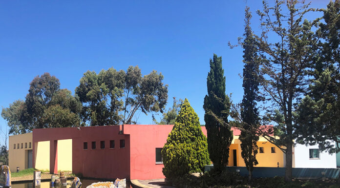 CEERDL é uma das maiores cooperativas de Solidariedade Social de todo o país