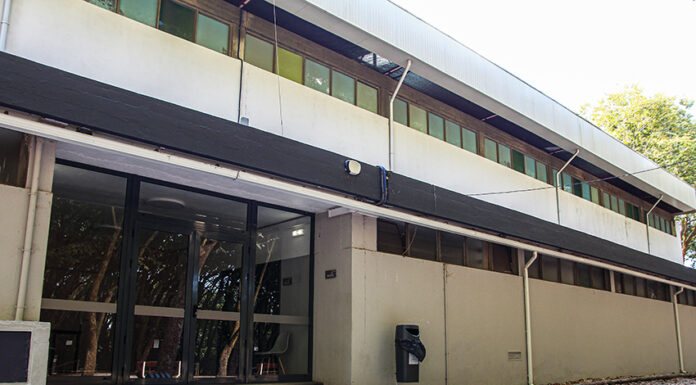 Clubes e organizações desportivas aguardam ordens da DGS para o regresso à competição