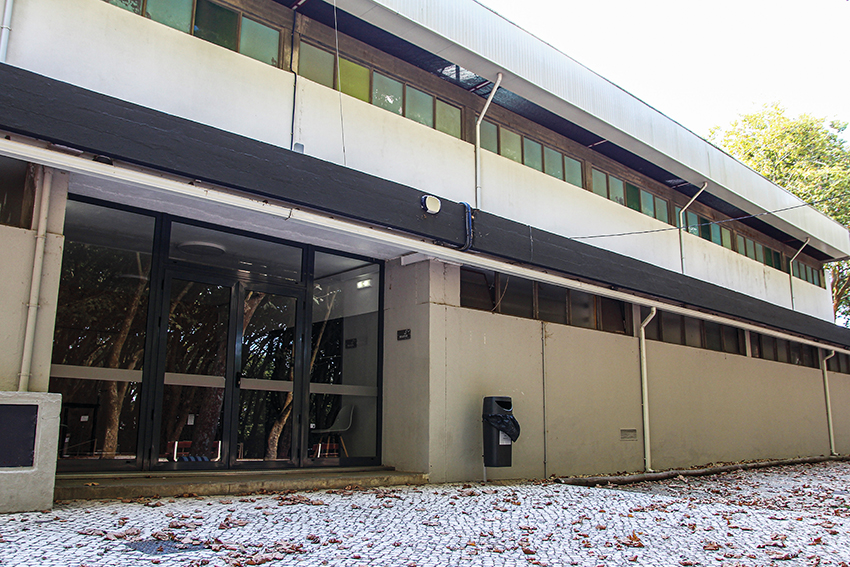 Clubes e organizações desportivas aguardam ordens da DGS para o regresso à competição