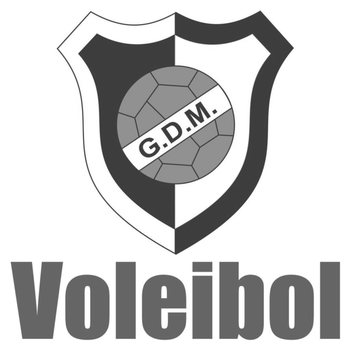 MartingancaVoleibol