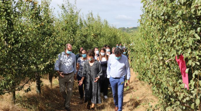 Ministra da Agricultura esteve na abertura da campanha de Pera Rocha