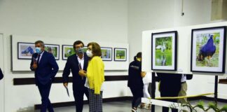 Parque D. Carlos I em destaque no 93º aniversário da elevação das Caldas a cidade