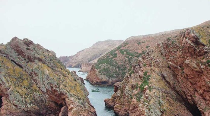 Berlengas recebem dessalinizador para fornecer água potável