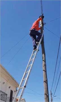 Bombeiros de Óbidos resgatam gato de um poste de telecomunicações
