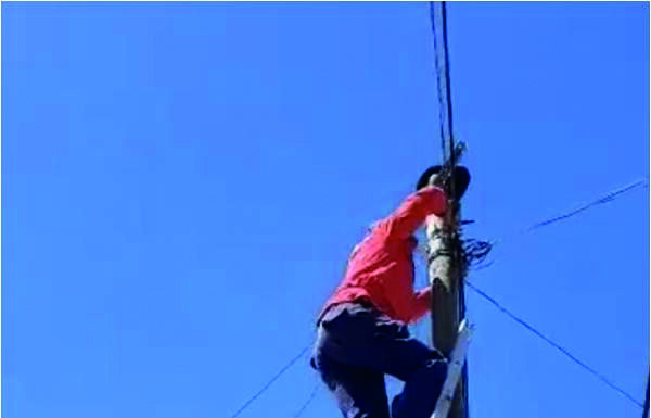 Bombeiros de Óbidos resgatam gato de um poste de telecomunicações