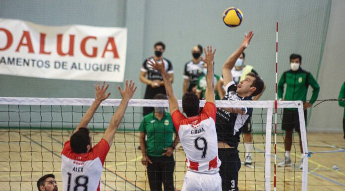 Voleibol: Sp. Caldas segue em frente na Taça de Portugal
