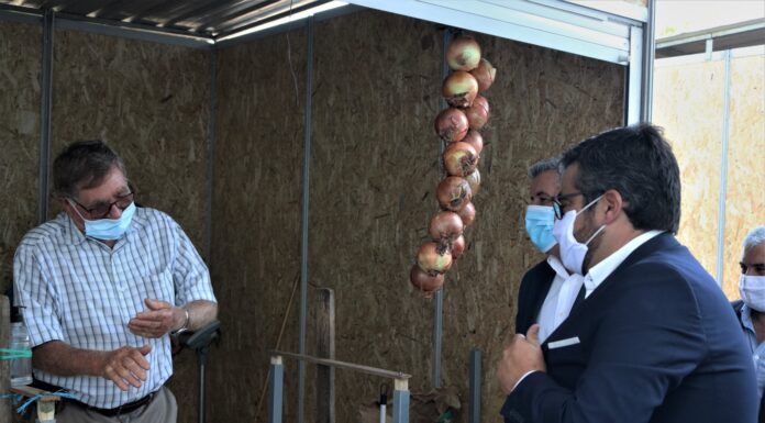 Mercado da Cebola em Rio Maior começou hoje e decorre até domingo