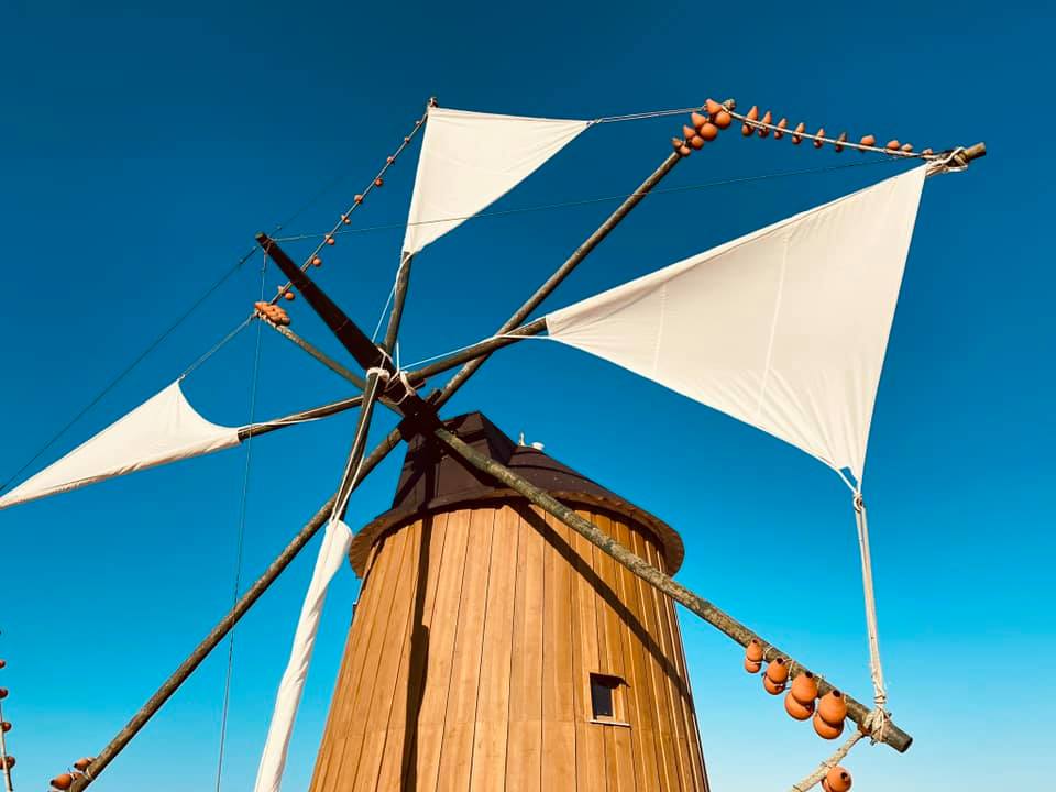 Regresso das visitas ao Moinho de Madeira das Boisias