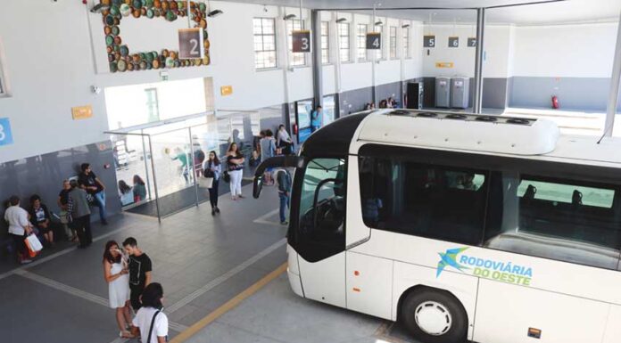 Investimento do Governo em autocarros de emissões nulas vai chegar ao Oeste