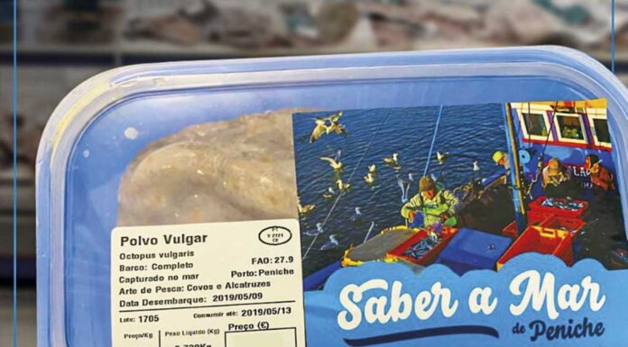 Pescado da Lota de Peniche chega a Cascais através da marca Saber a Mar
