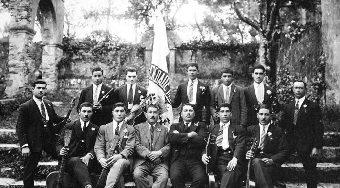 Parabéns partilhados